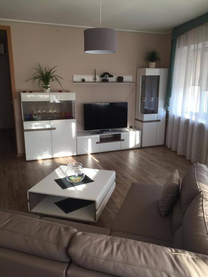 City Center Apartments Паневежис Экстерьер фото